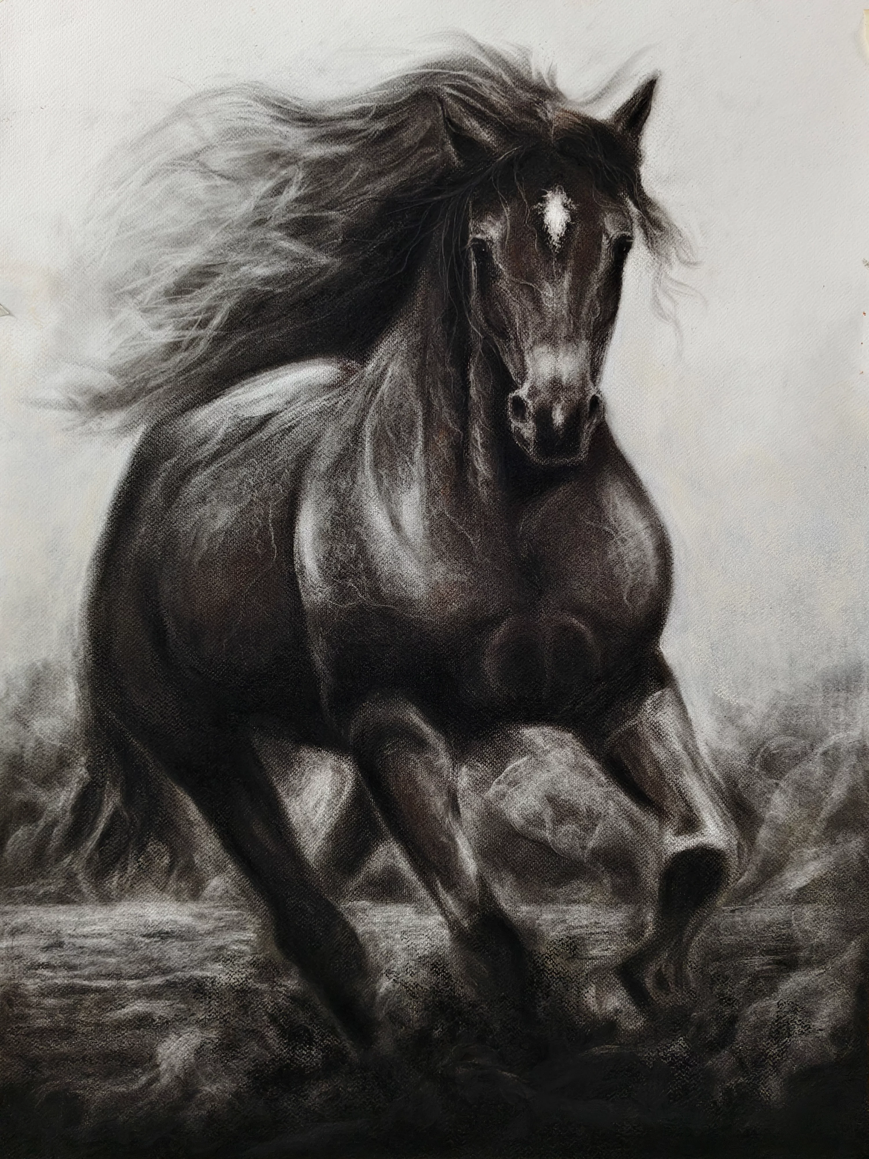 Gallop of Freedom